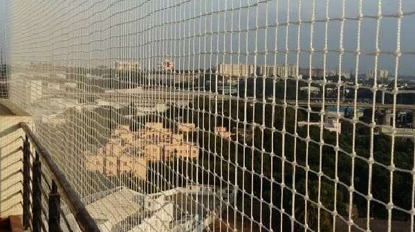 Pigeon Safety Nets in Bangalore