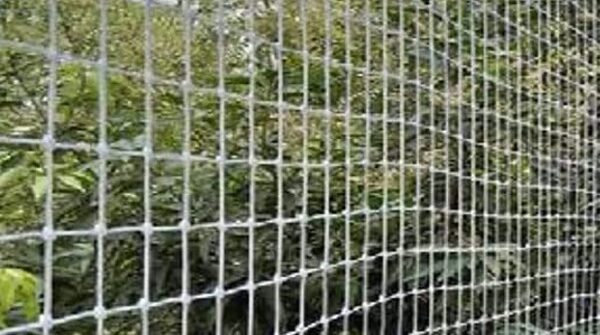 Pigeon Nets for Balconies in Bangalore